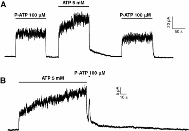 Fig. 4