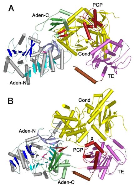 Figure 7