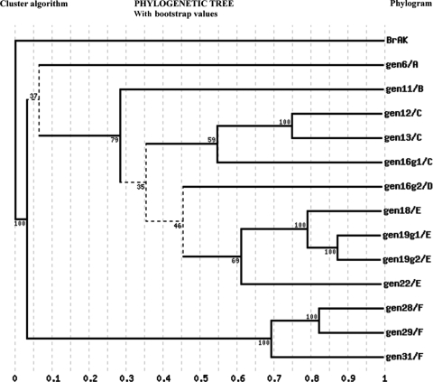 FIG. 2.