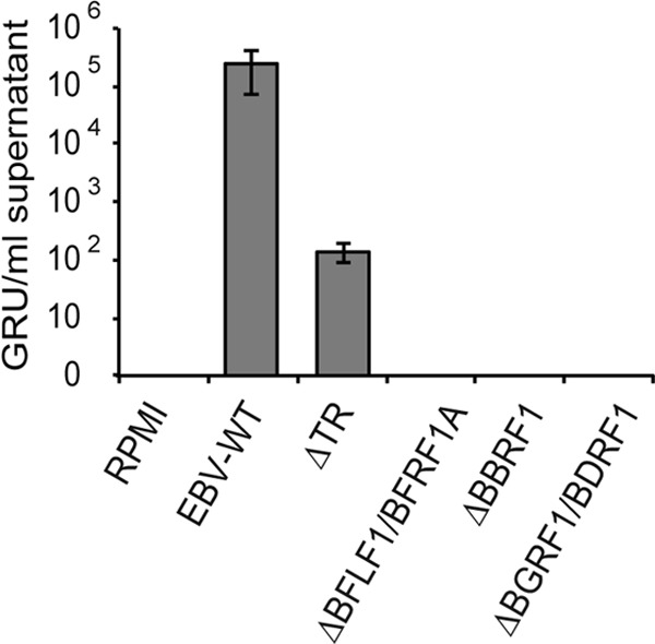 Fig 4