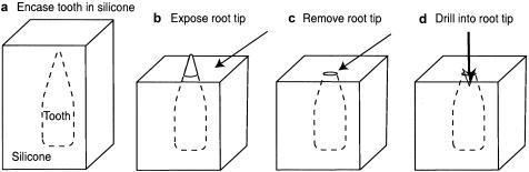 Figure  1