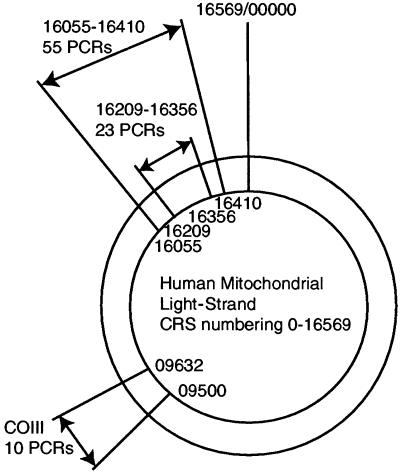 Figure  2