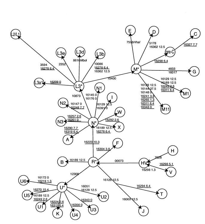 Figure  5