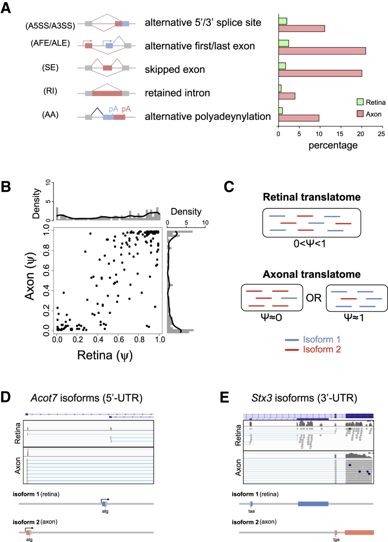 Figure 6