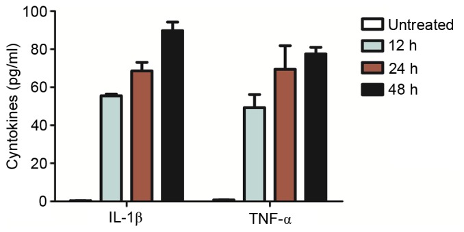 Figure 2.