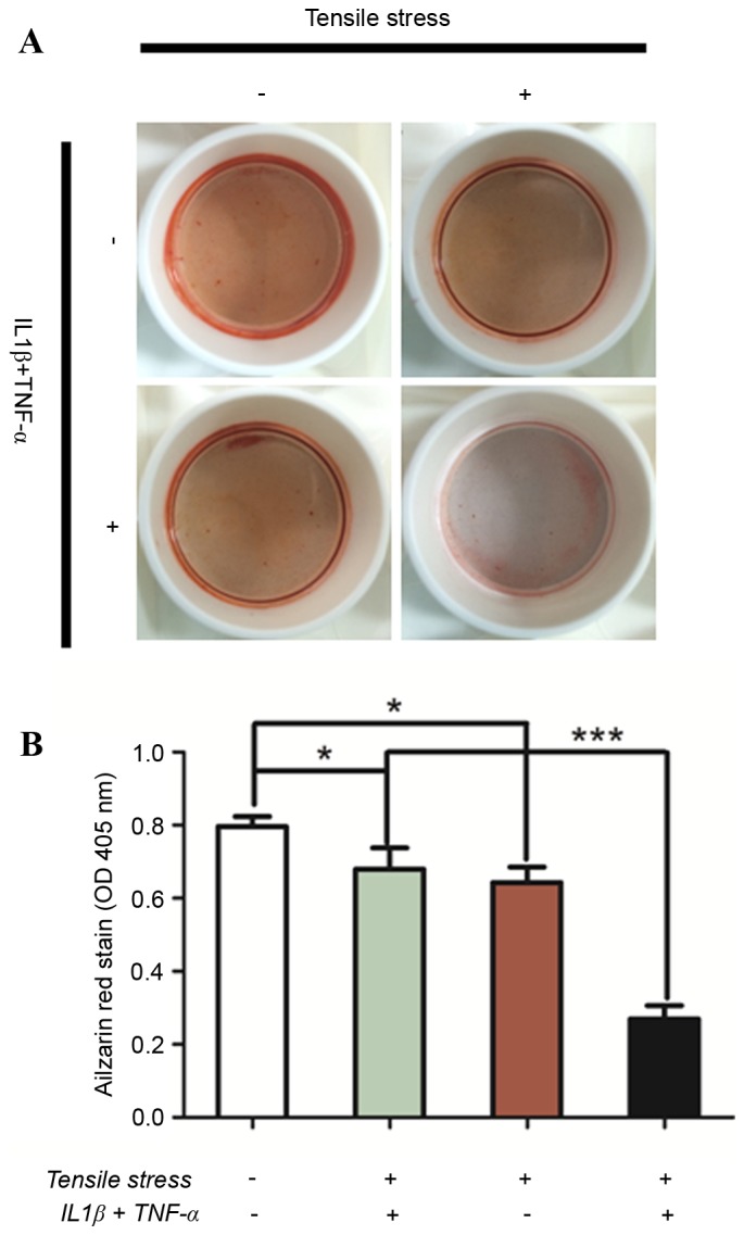 Figure 6.