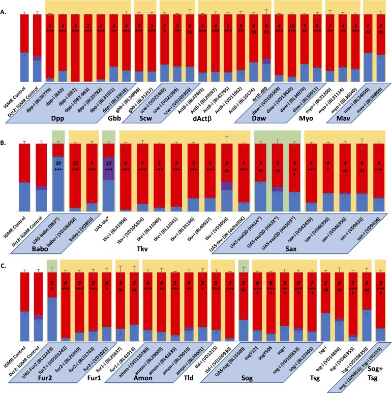 Figure 2—figure supplement 2.