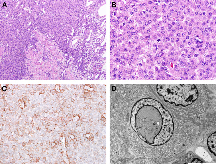 Fig 2.