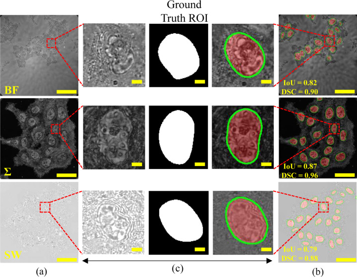 Fig. 5.