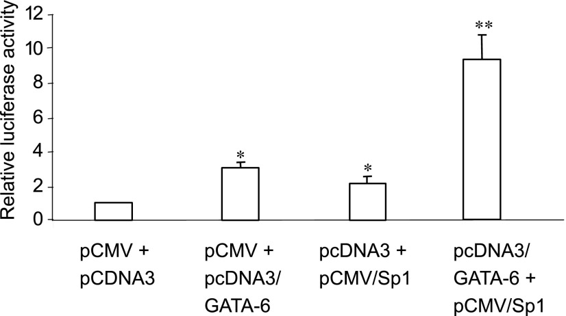 Fig. 8.