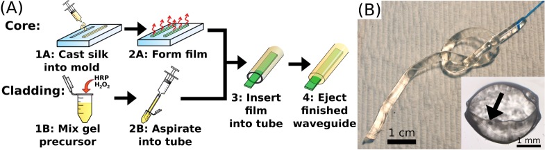 Fig. 1