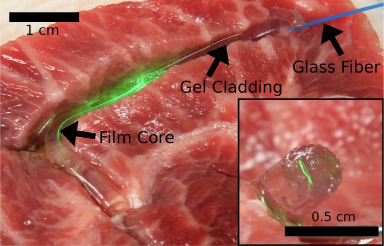 Fig. 3