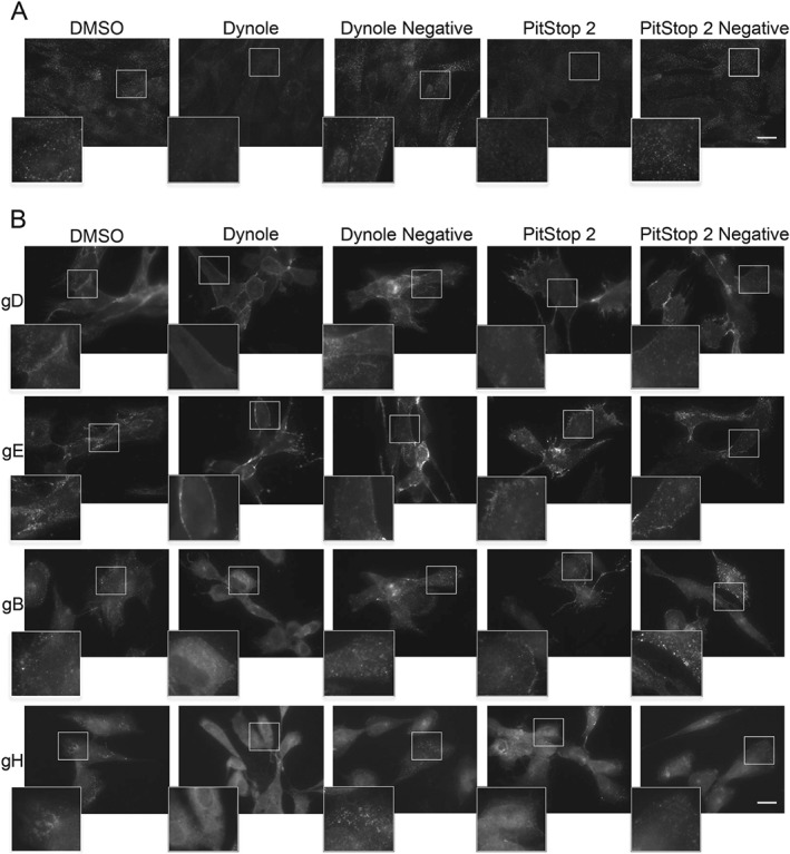 TRA-12340-FIG-0003-b