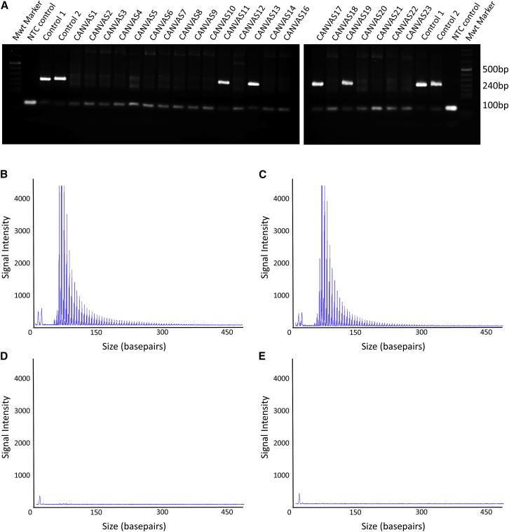 Figure 4