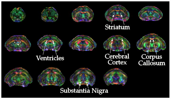 Fig. 2