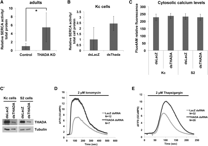 Figure 3