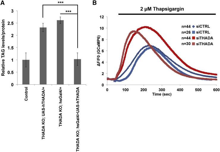 Figure 5