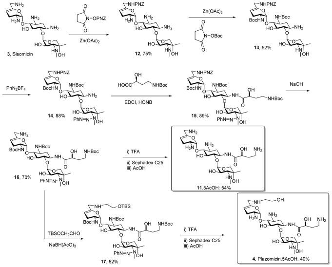 Scheme 2