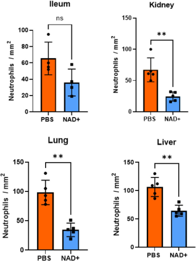 Figure 1—figure supplement 2.