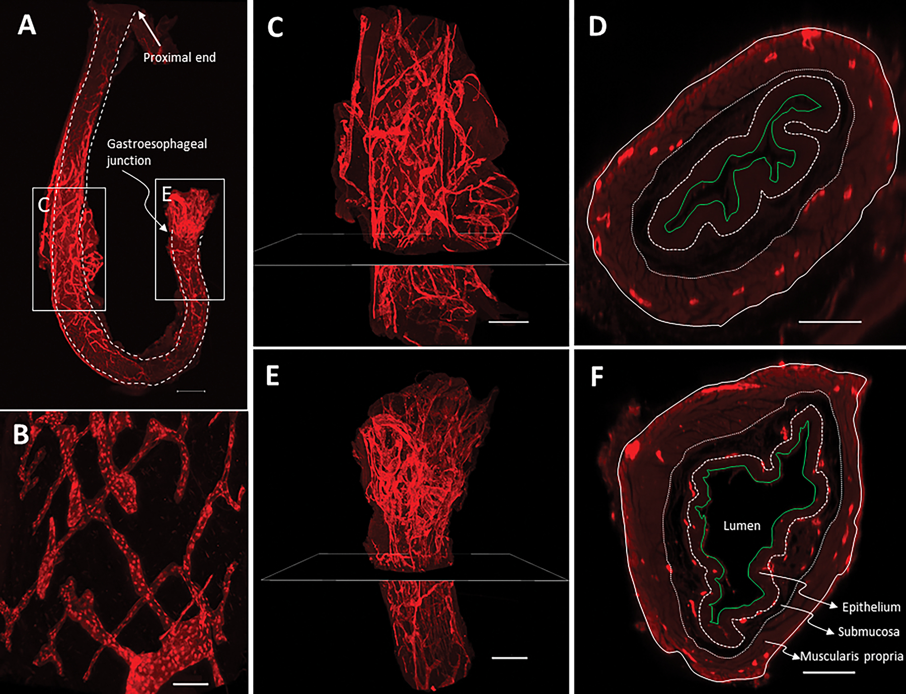 Figure 3.