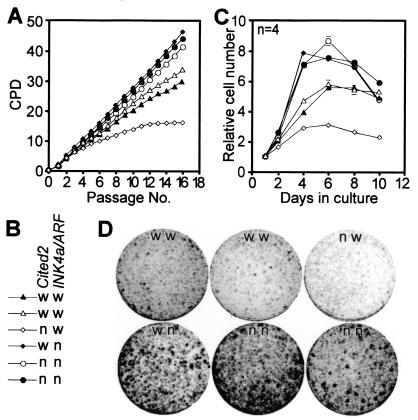 FIG. 5.