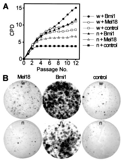 FIG. 8.