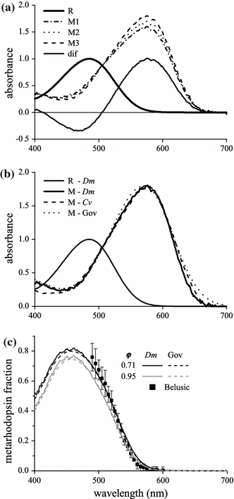 Fig. 7