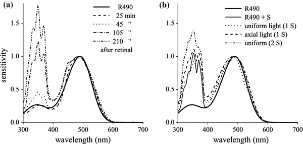 Fig. 4