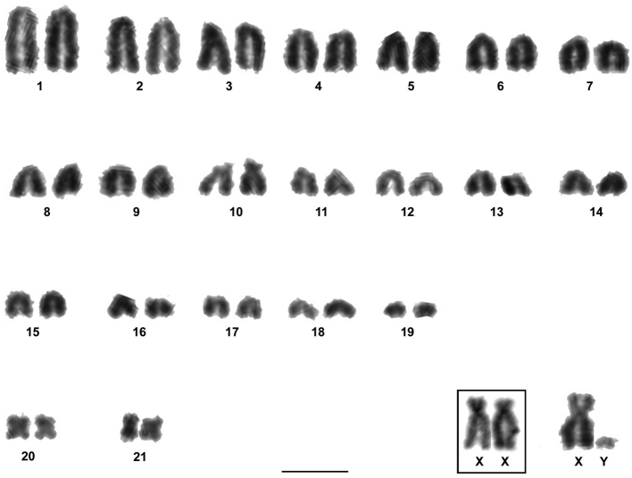 Figure 2.