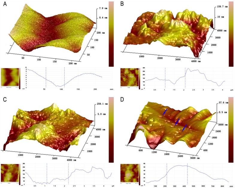 Fig. 2. 