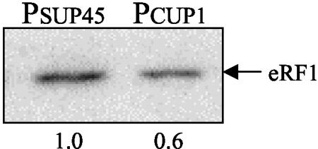 FIG. 5.