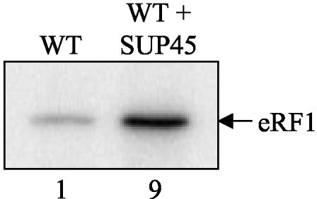 FIG. 7.