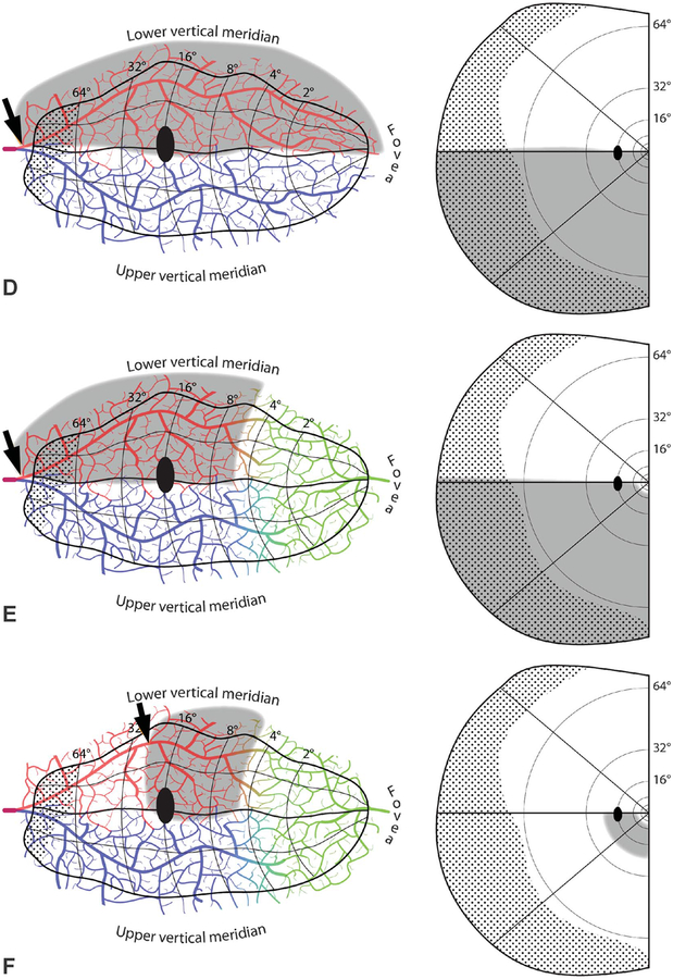 FIG. 5.