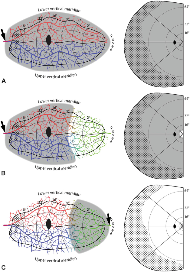 FIG. 5.