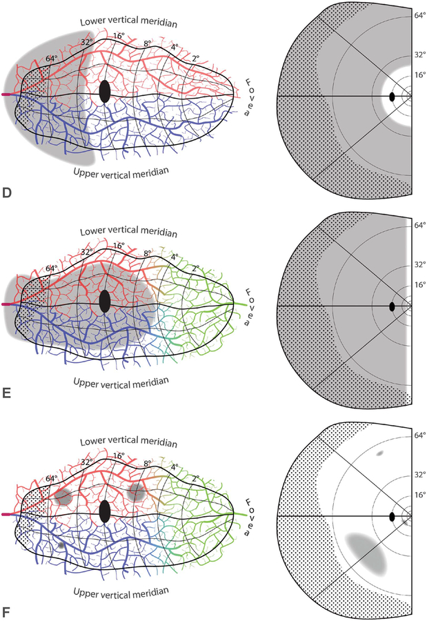 FIG. 6.