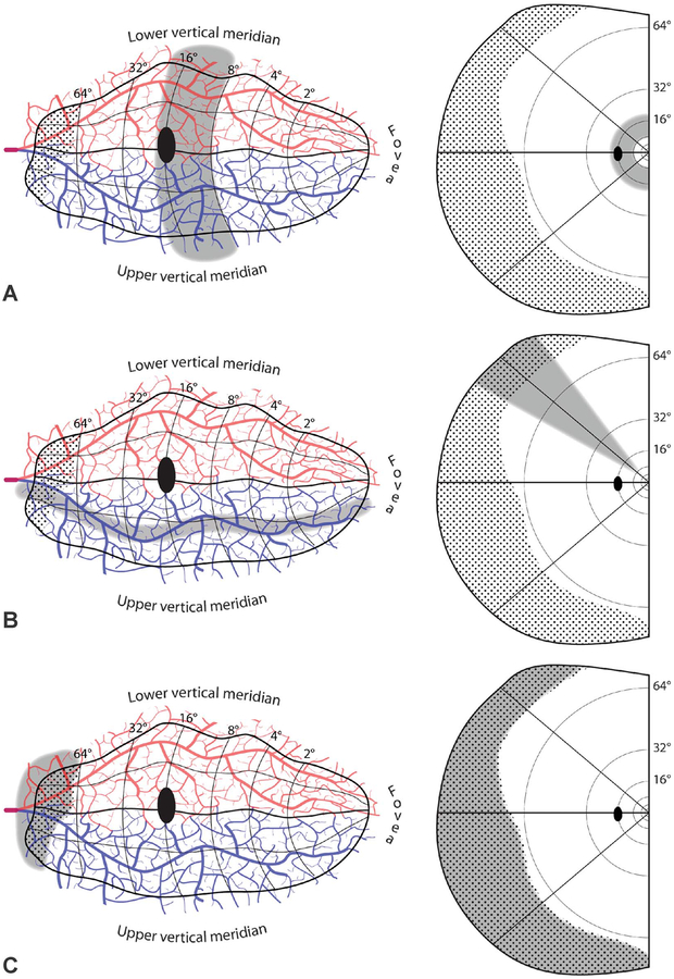 FIG. 6.