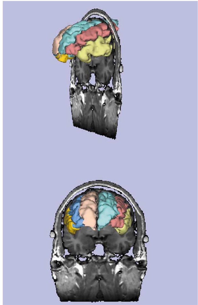 Fig. 5