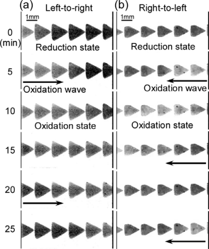 Figure 7.