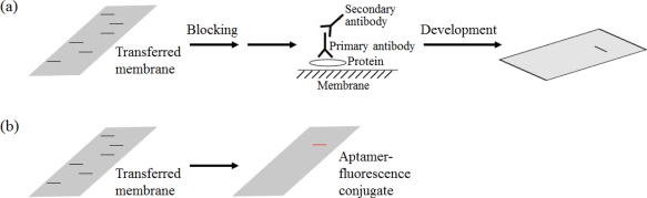 Figure 12.