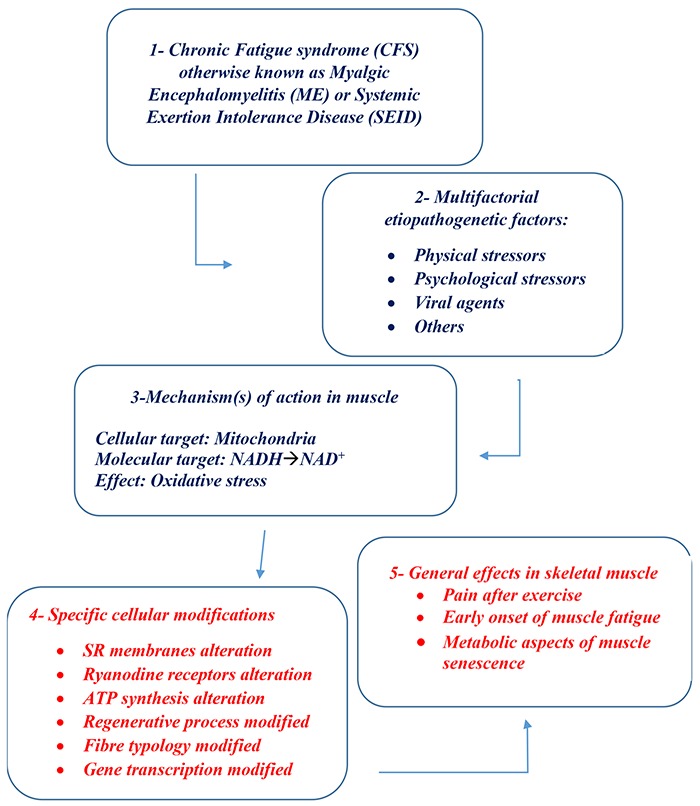 Fig 1.