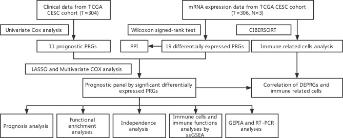 Figure 1