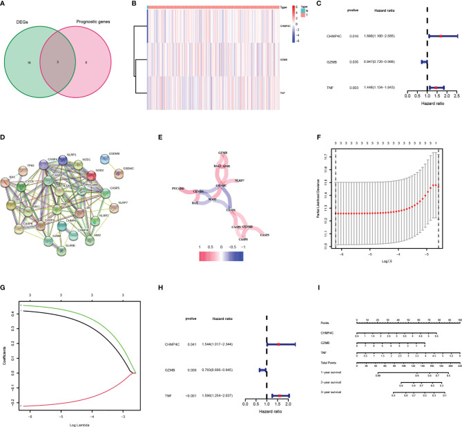 Figure 2