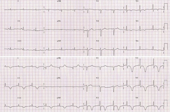 Fig. 7