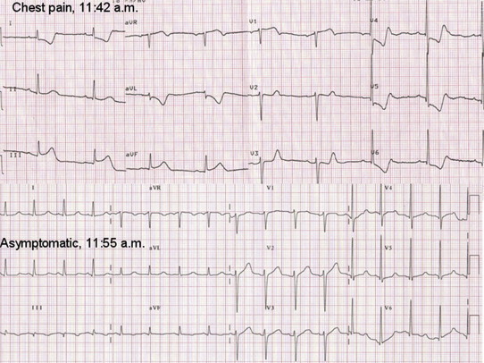 Fig. 6