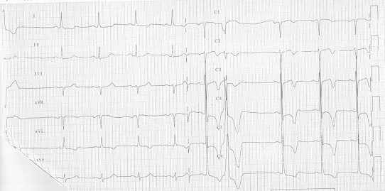 Fig. 1