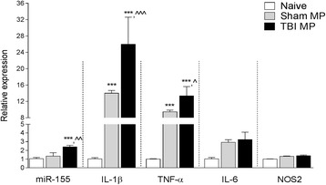 Fig. 10