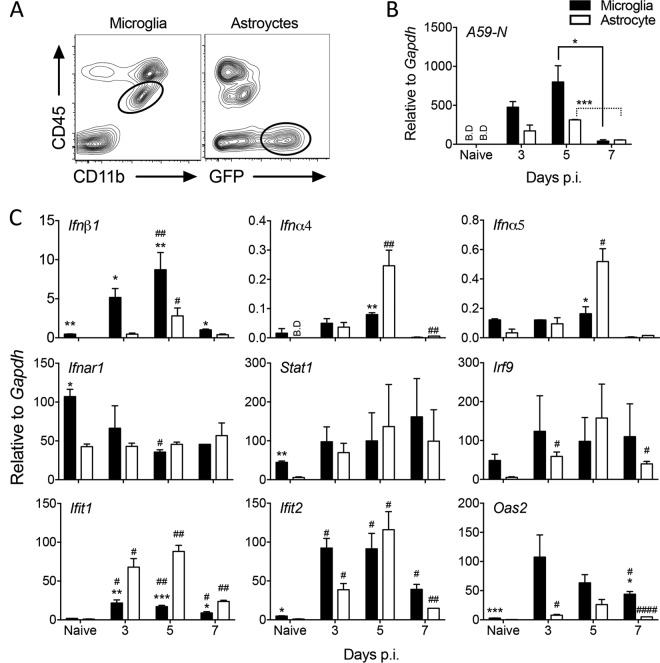 FIG 2