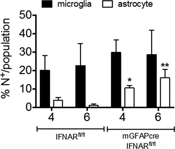 FIG 6