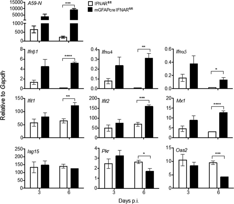 FIG 8