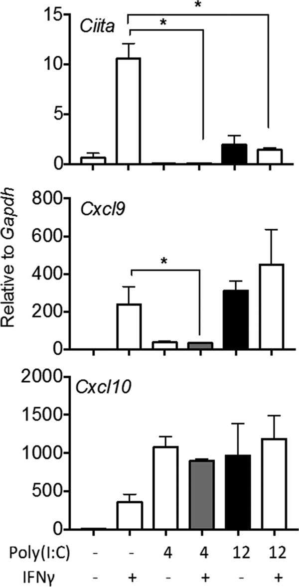 FIG 11